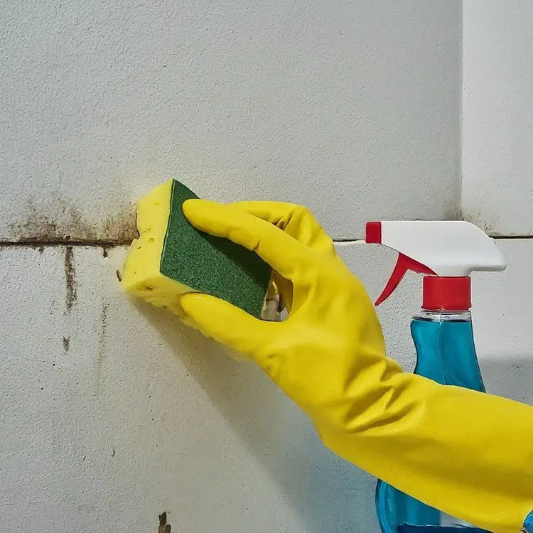 How to Remove Mold From Shower Caulk or Tile Grout